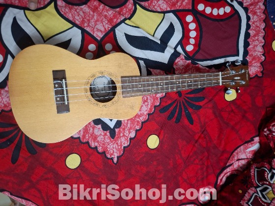 Custom Ukulele